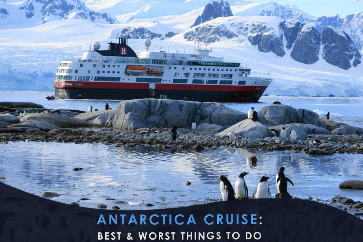 Antarctica Cruise: Best & Worst Things to Do